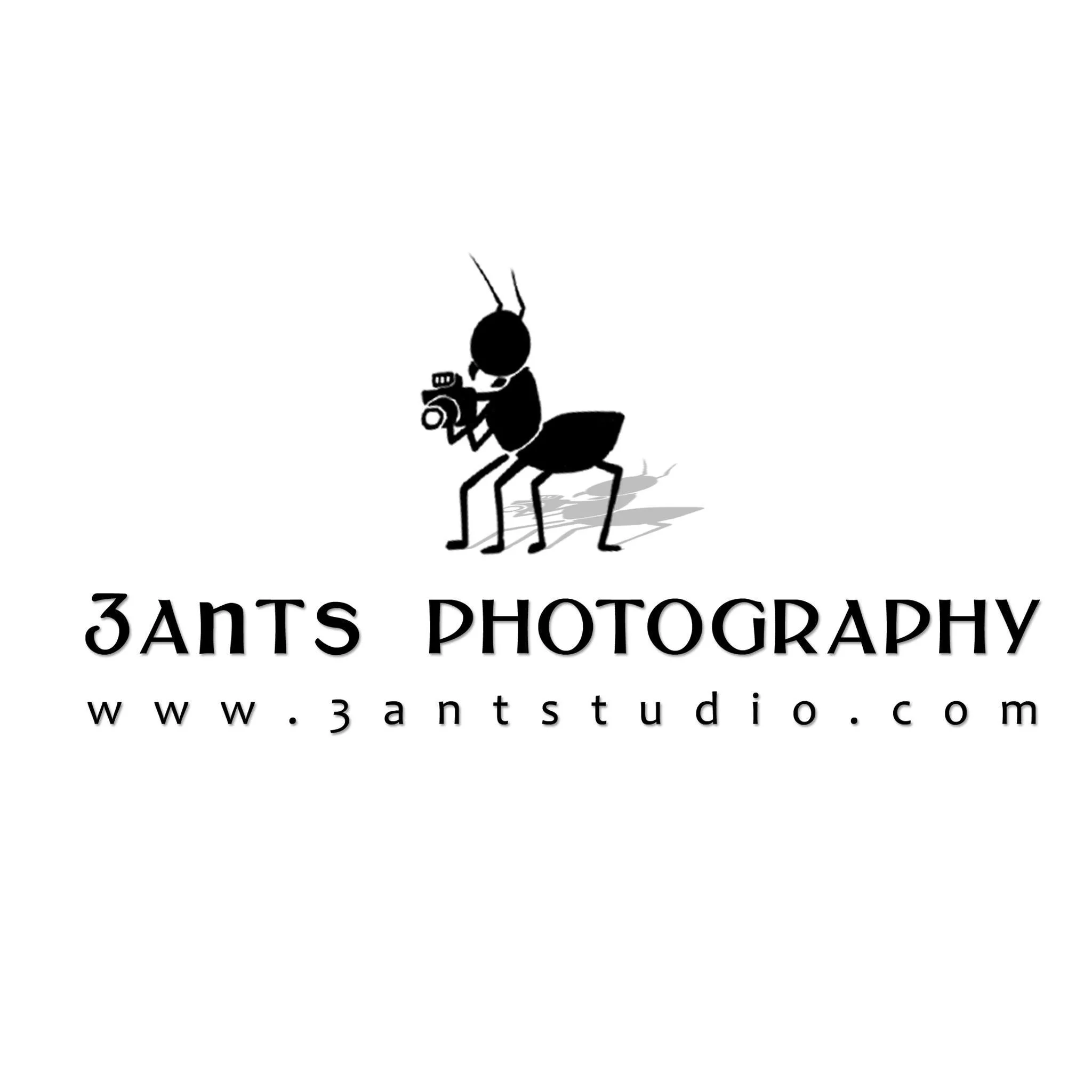 3 Ants Studio